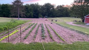 A garden on a farm A garden on a farm