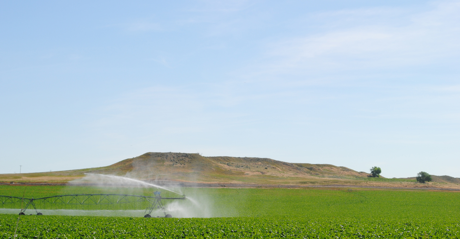  Sugarbeet field and irrigation equipment