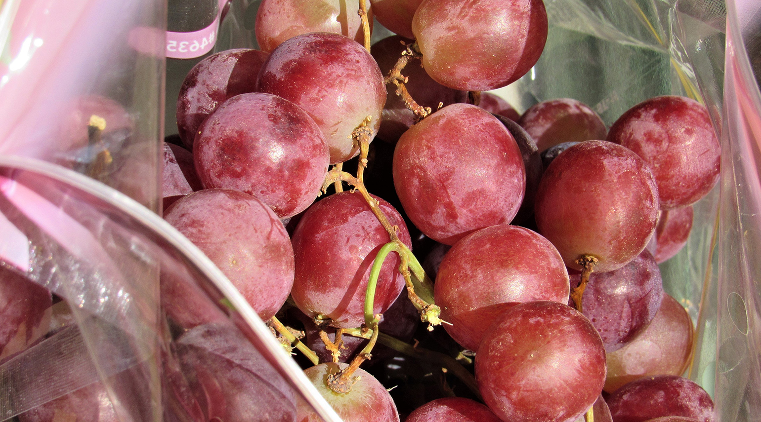 GL0611-tim-hearden-table-grapes1t_BT_Edits.JPG