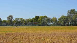 Center-pivot irrigation system running in yellowing soybean field Center-pivot irrigation system running in yellowing soybean field