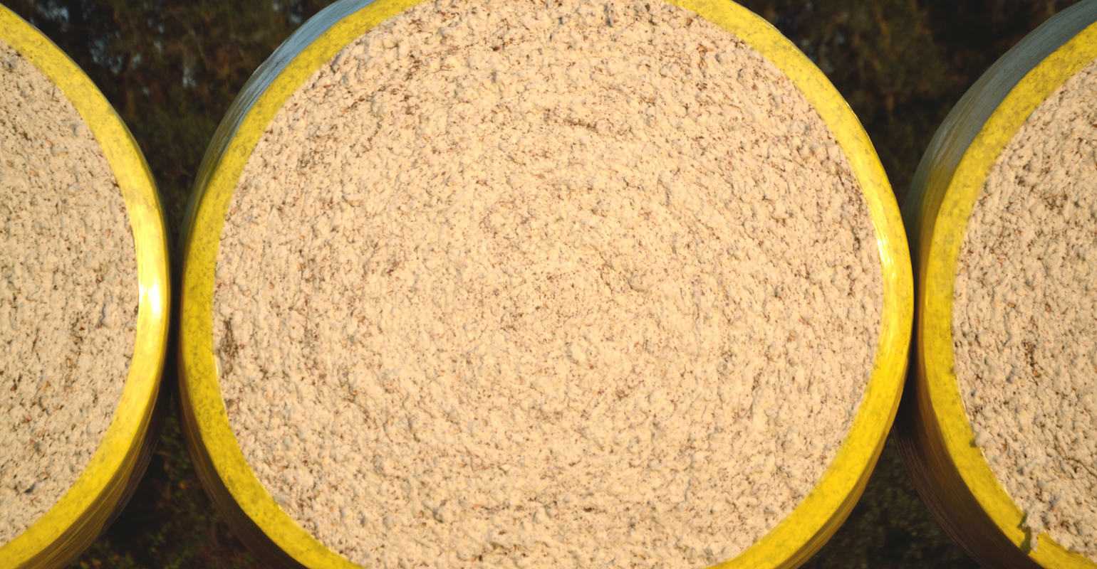 Cottom round bales