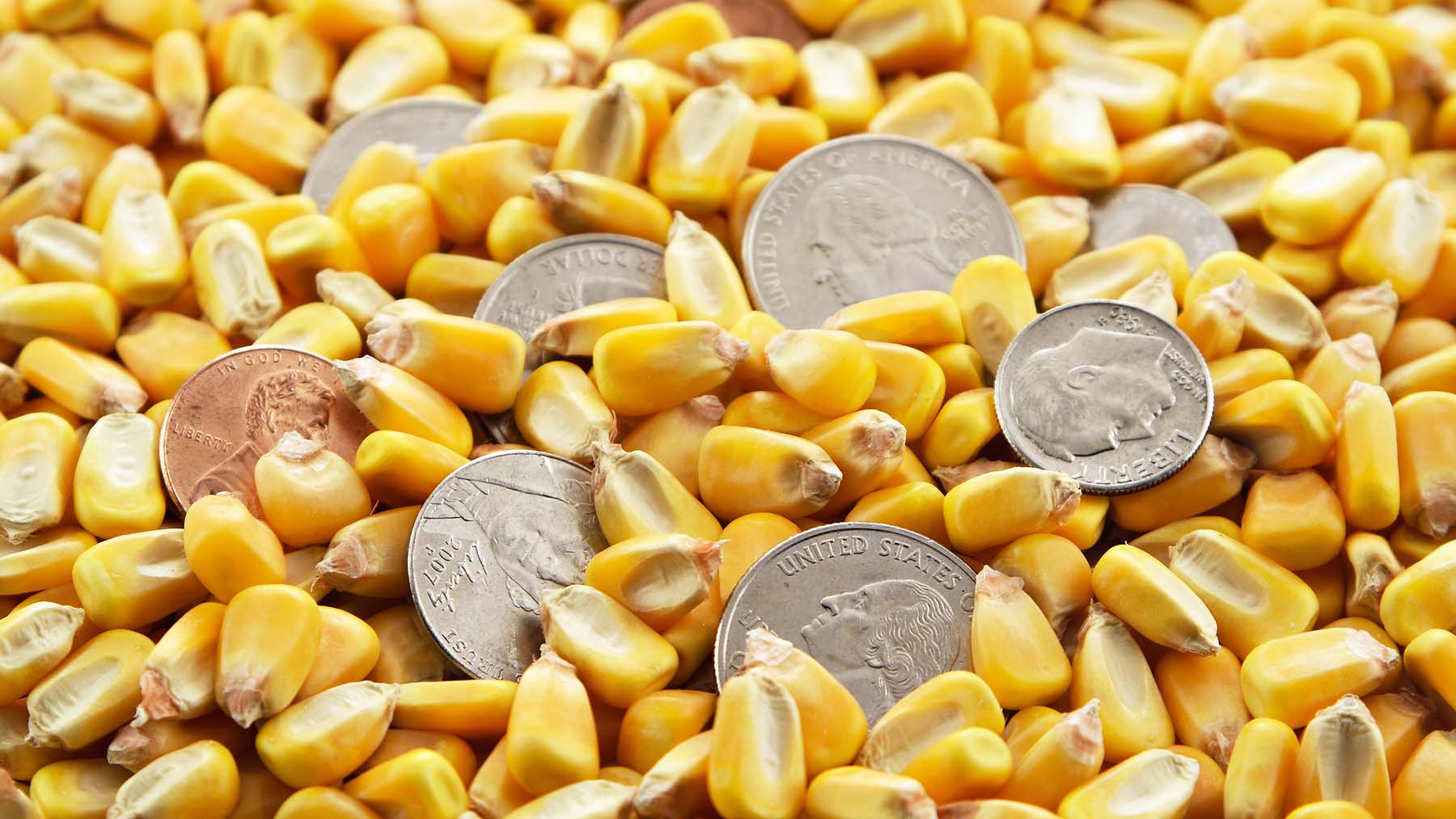 Corn kernels and coins