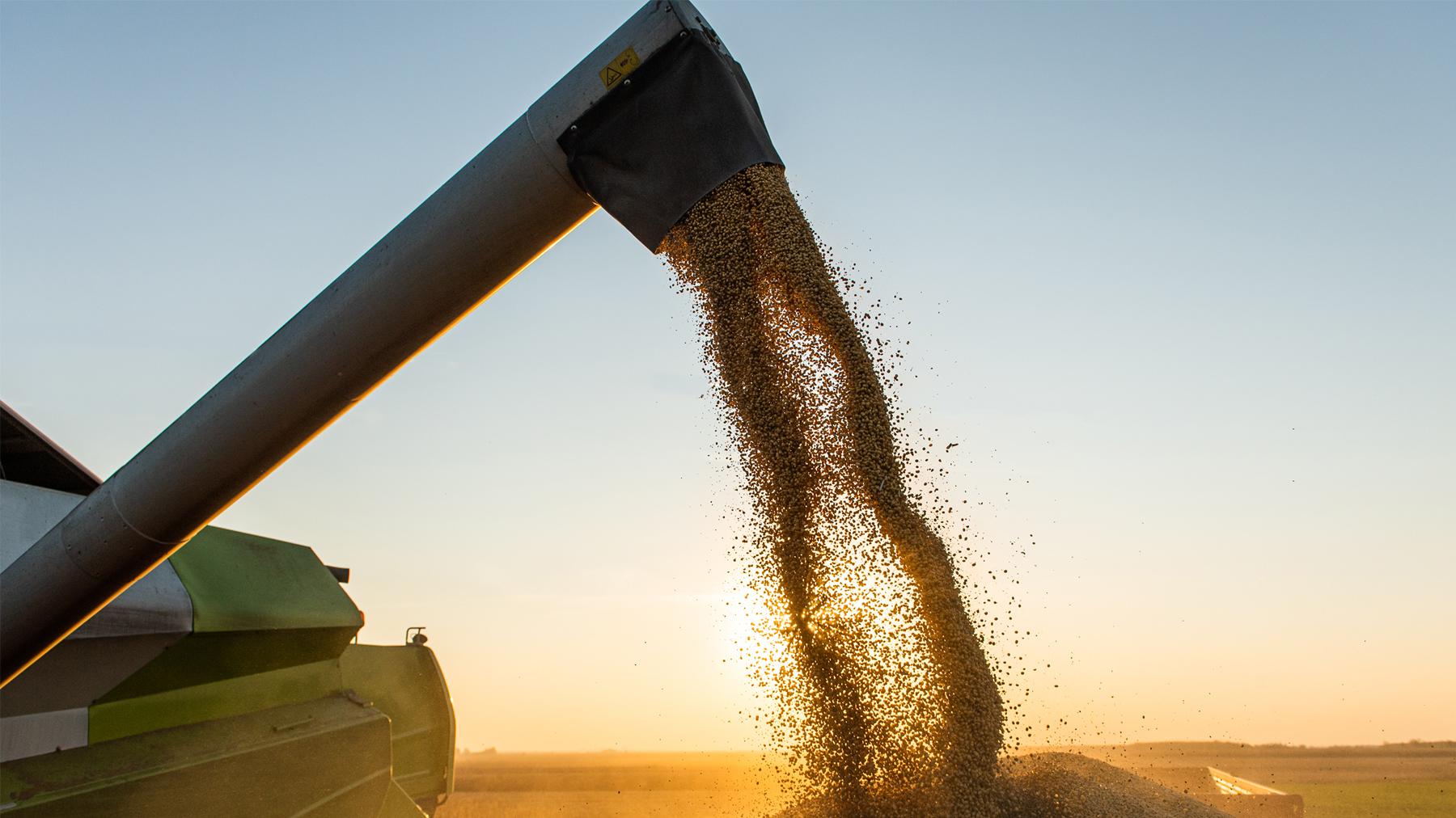 Soybeans are loaded into a grain truck.