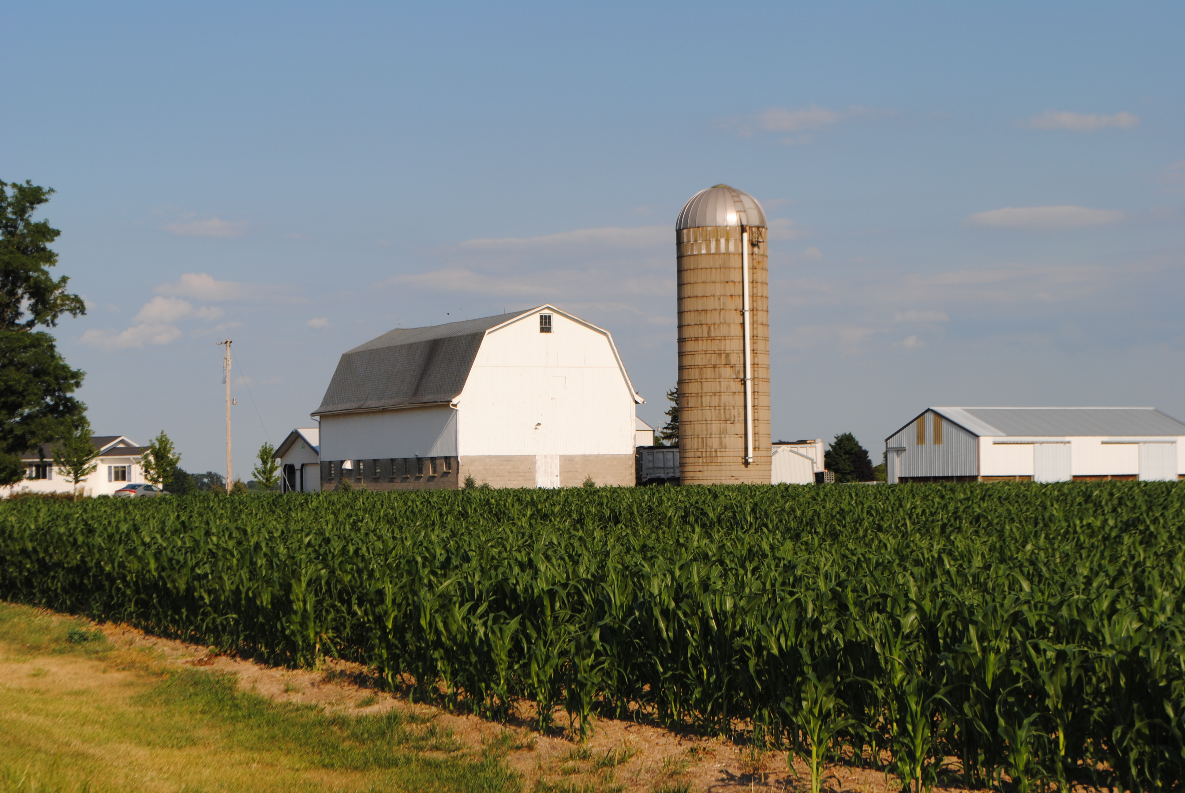 Featured Image Alt Text