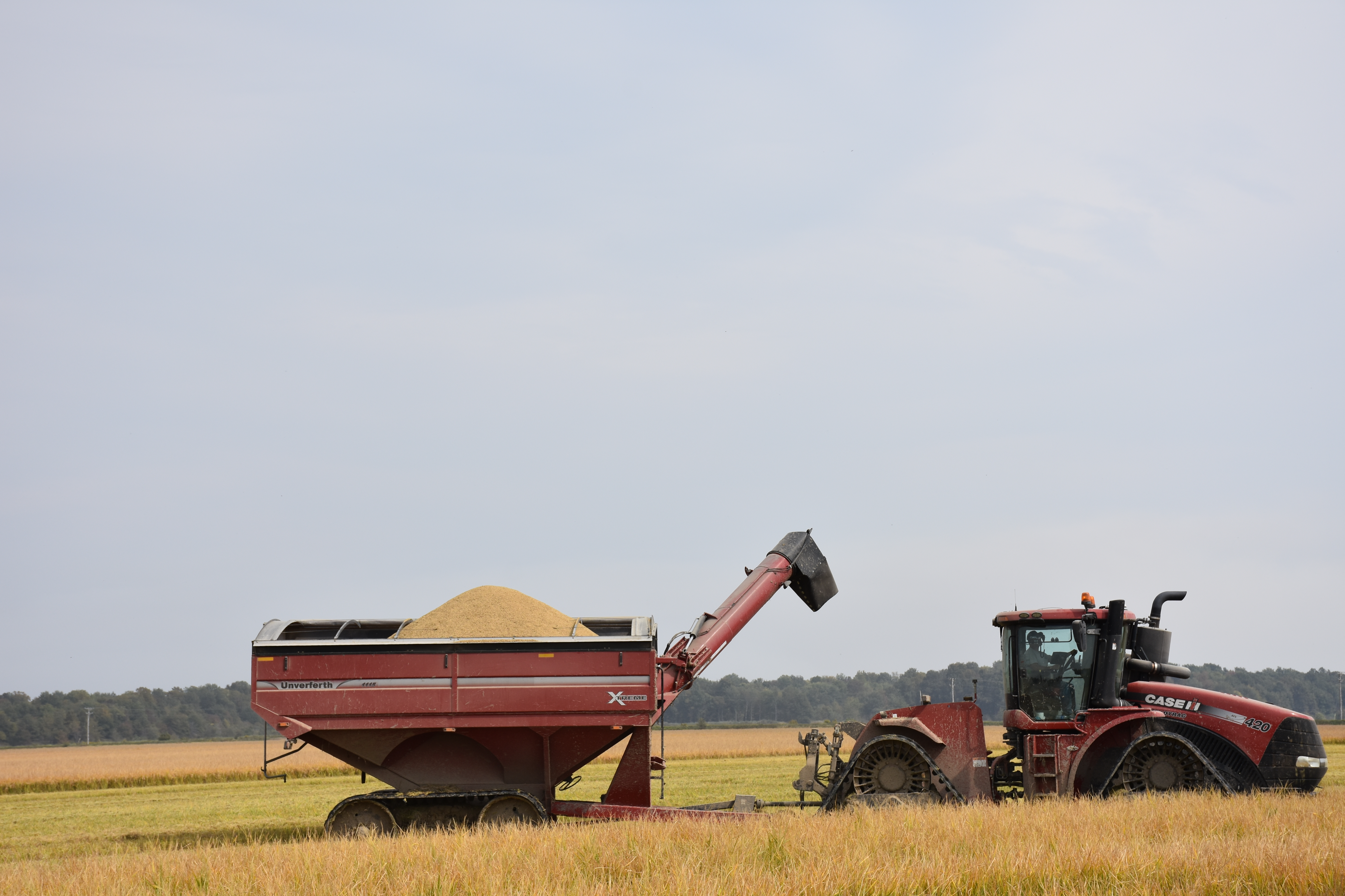 Tractor with grain cart in rice field.