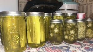 canned vegetables canned vegetables