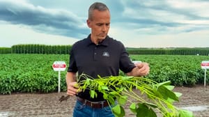 Introducing Pioneer® brand Z-Series soybeans. Introducing Pioneer® brand Z-Series soybeans.