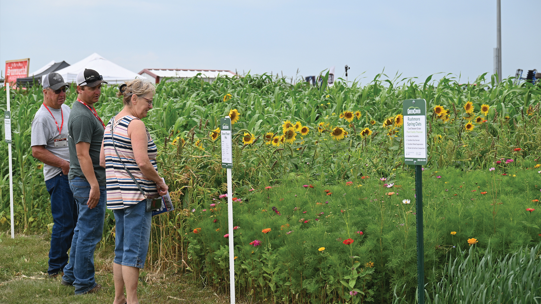 Farmers will be able to see cover crops growing in monoculture and mixed species situations at HHD's
