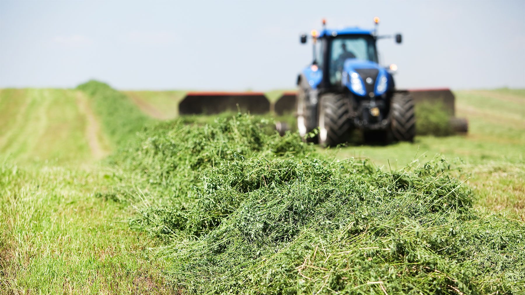 A tractor tows a merger on a cut hayfield