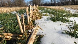 Snow Field Snow Field