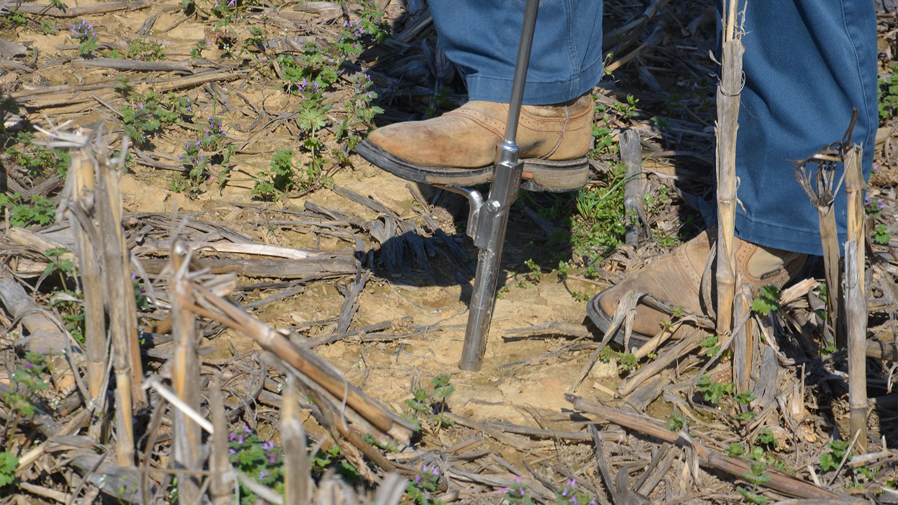 Foot pushing sampling probe into soil