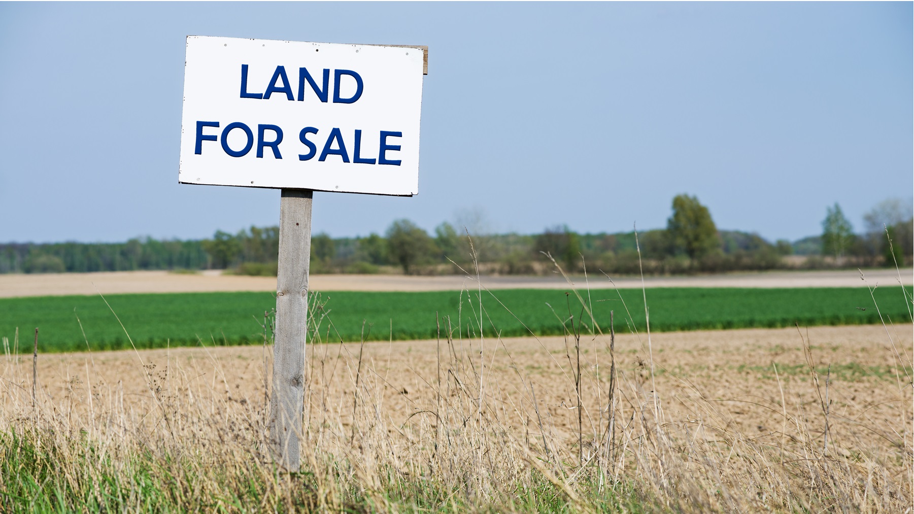 Farm Progress America, Feb. 19, 2025
