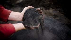 A farmer holding a charcoal like product in hands A farmer holding a charcoal like product in hands