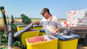 laoding-peanuts-planter-karl-stutzman-pea22 laoding-peanuts-planter-karl-stutzman-pea22