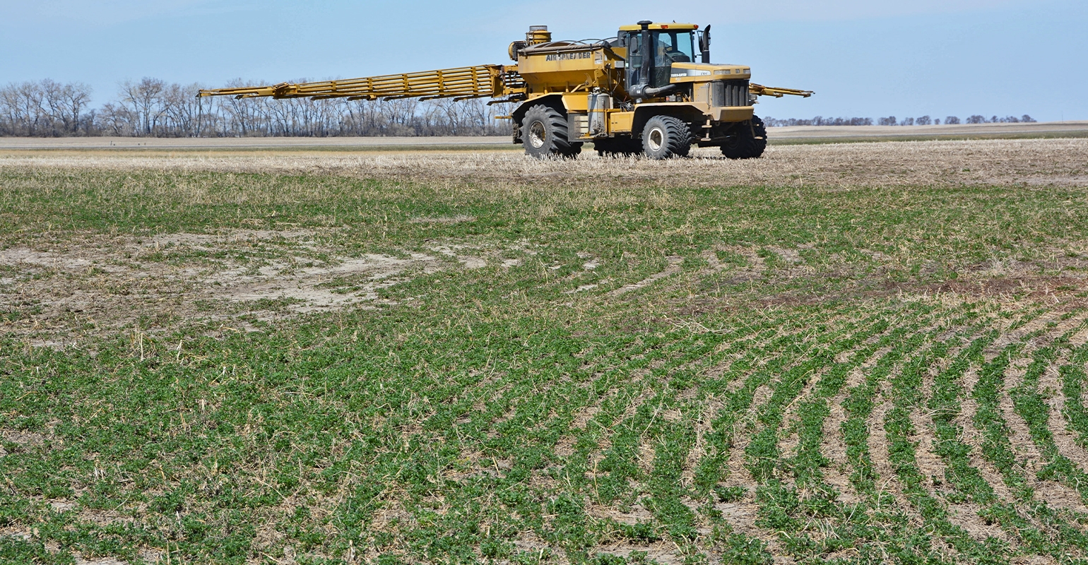 Urea is applied in an acidic field