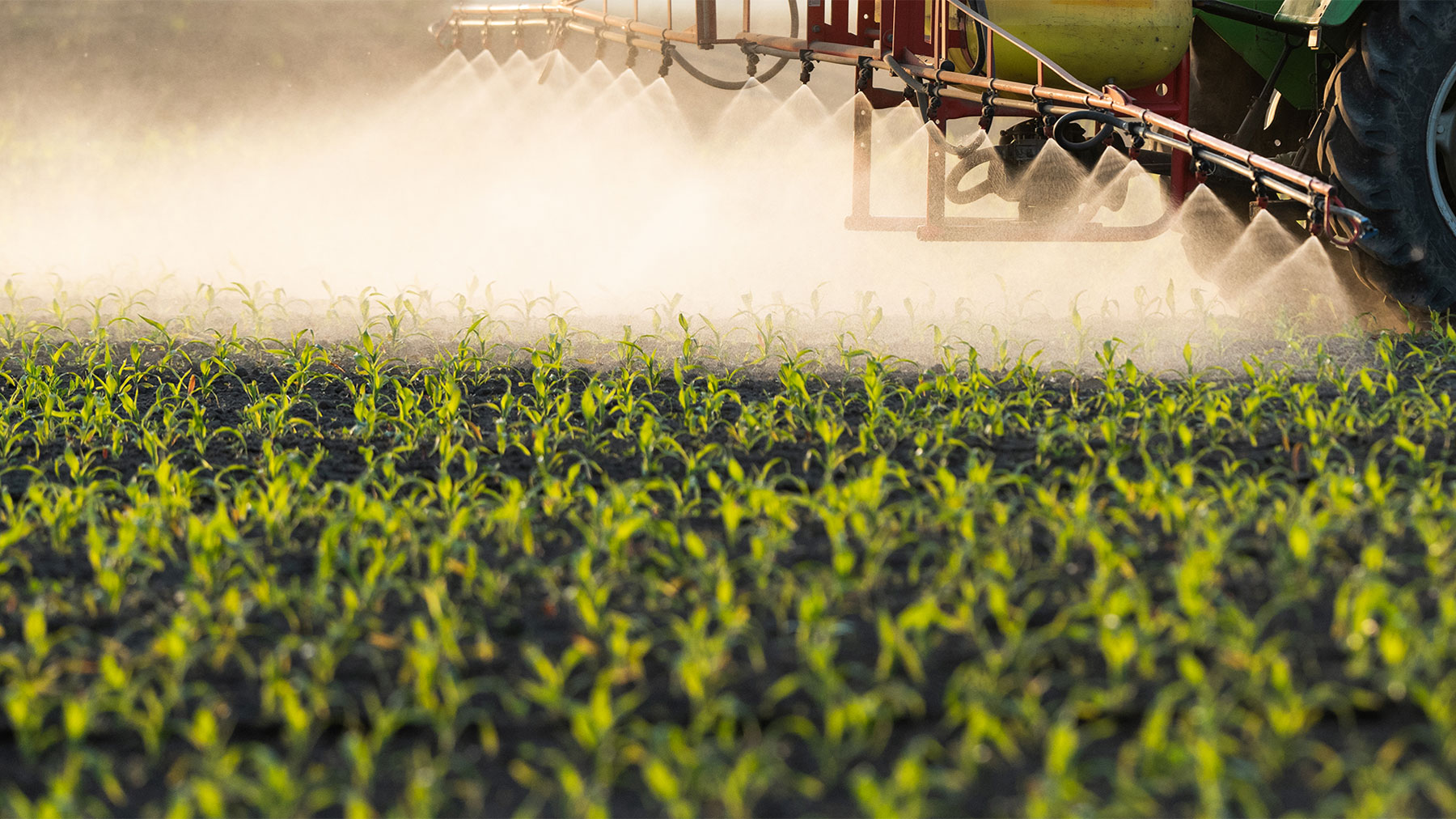 Tractor spraying a field
