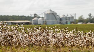 South Carolina Boll Weevil Eradication South Carolina Boll Weevil Eradication