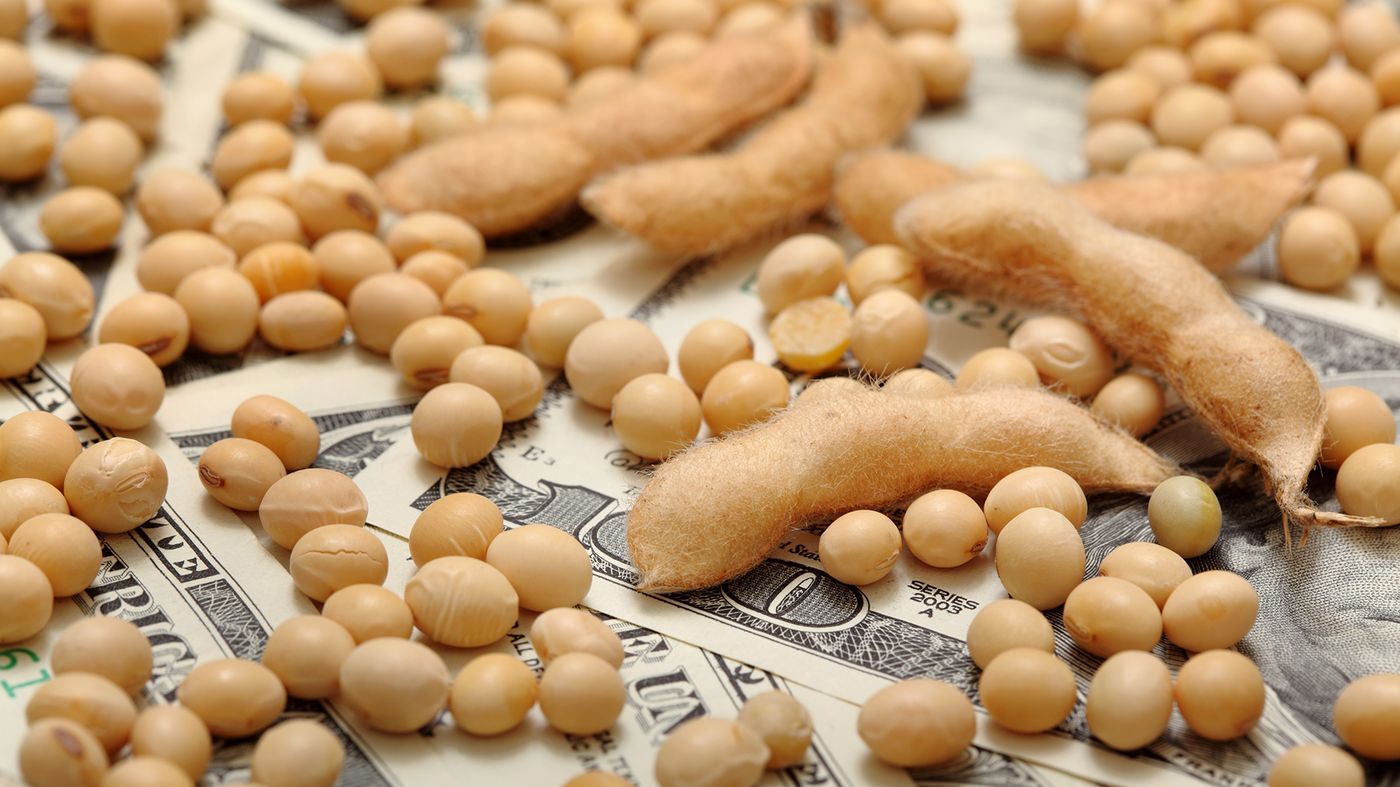 Soybeans and pods on money Soybeans and pods on money