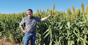 swfp-shelley-huguley-brent-bean-forage-sorghum-banner.jpg swfp-shelley-huguley-brent-bean-forage-sorghum-banner.jpg