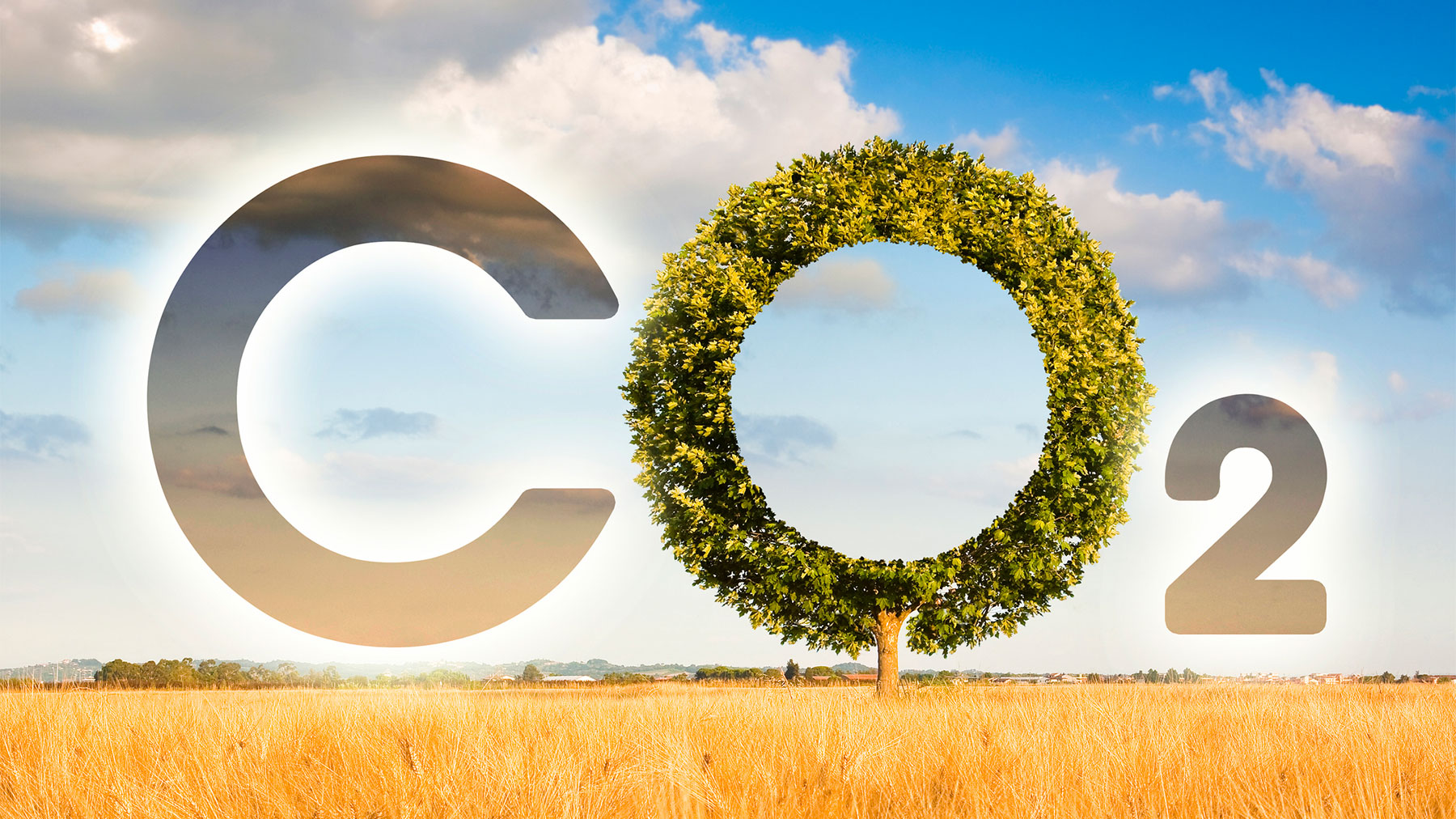 concept image with CO2 icon text and tree shape in rural scene