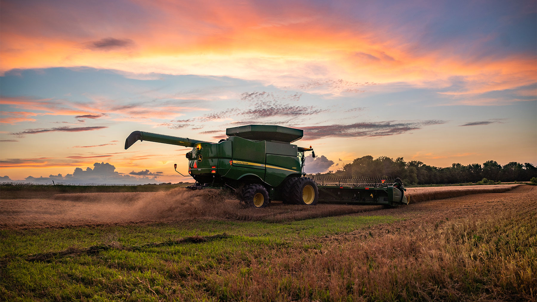 Combine harvesting wheat field at sunset
