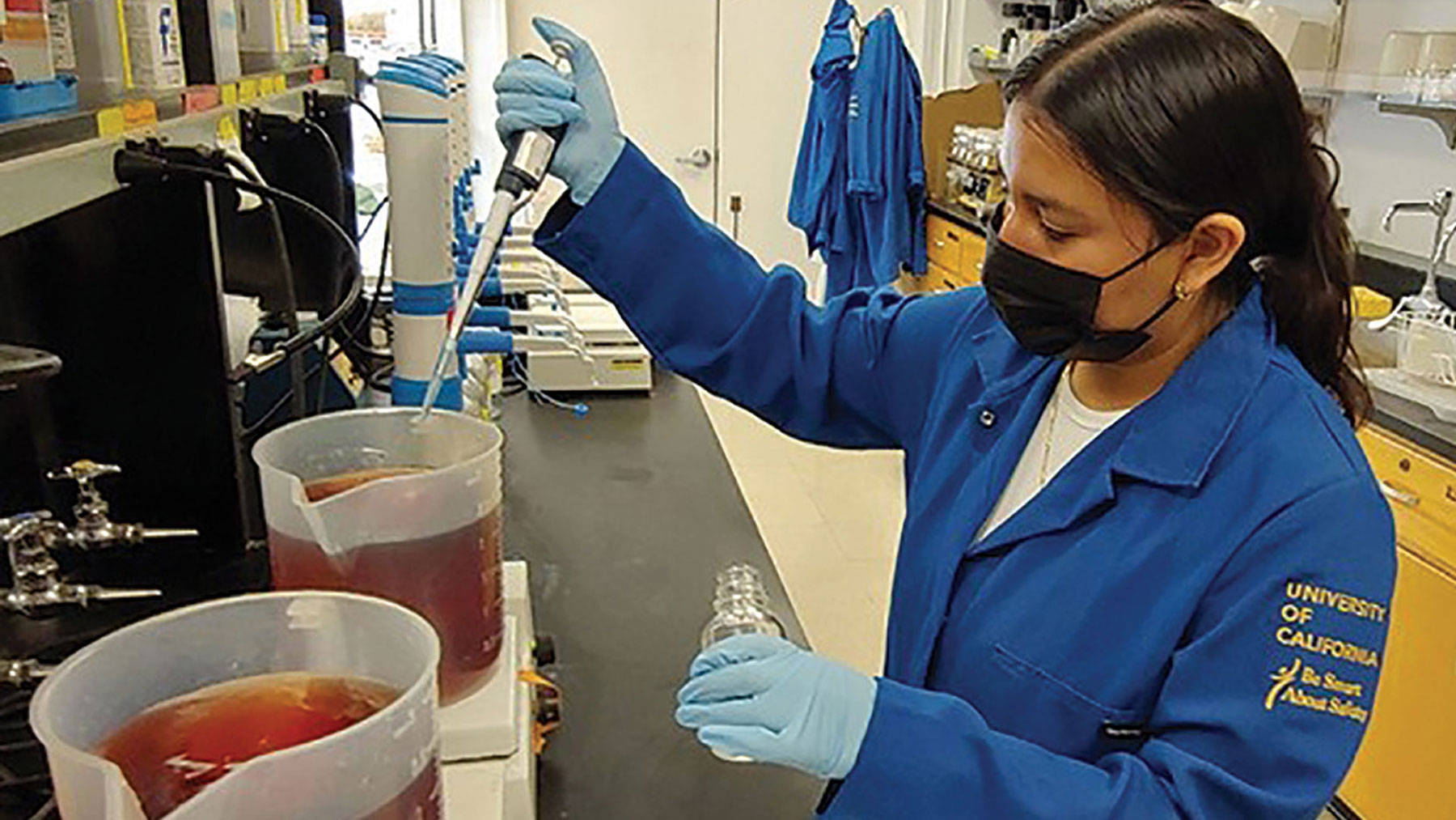 UC Davis pistachio research