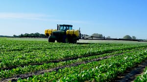 Common tools help scout soybean aphid Common tools help scout soybean aphid