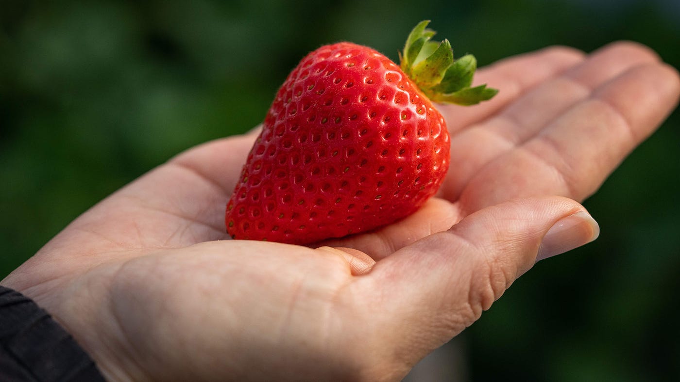 Strawberry Strawberry